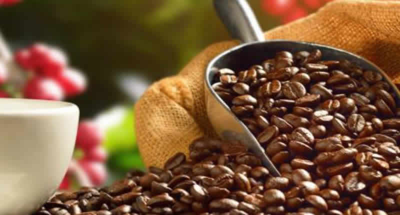 Peruanischer Kaffee aus Puno & Co: Entdecken Sie die Vielfalt des Kaffees im Land der Inkas Peruanischer Kaffee aus Puno & Co: Entdecken Sie die Vielfalt des Kaffees im Land der Inkas